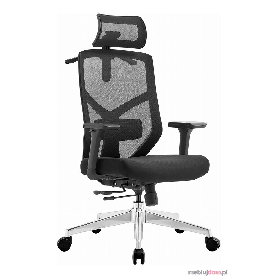 Fotel ergonomiczy ERGONOBLE 3050 czarny