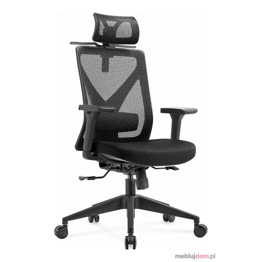 Fotel ergonomiczny ERGONOBLE 3056 czarny
