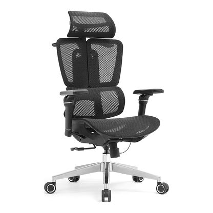 Fotel biurowy ergonomiczny ERGONOBLE 3058 PRO Czarny