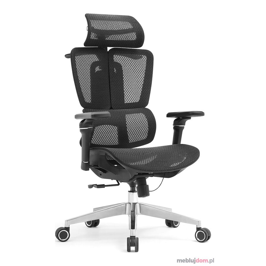 Fotel biurowy ergonomiczny ERGONOBLE 3058 PRO Czarny